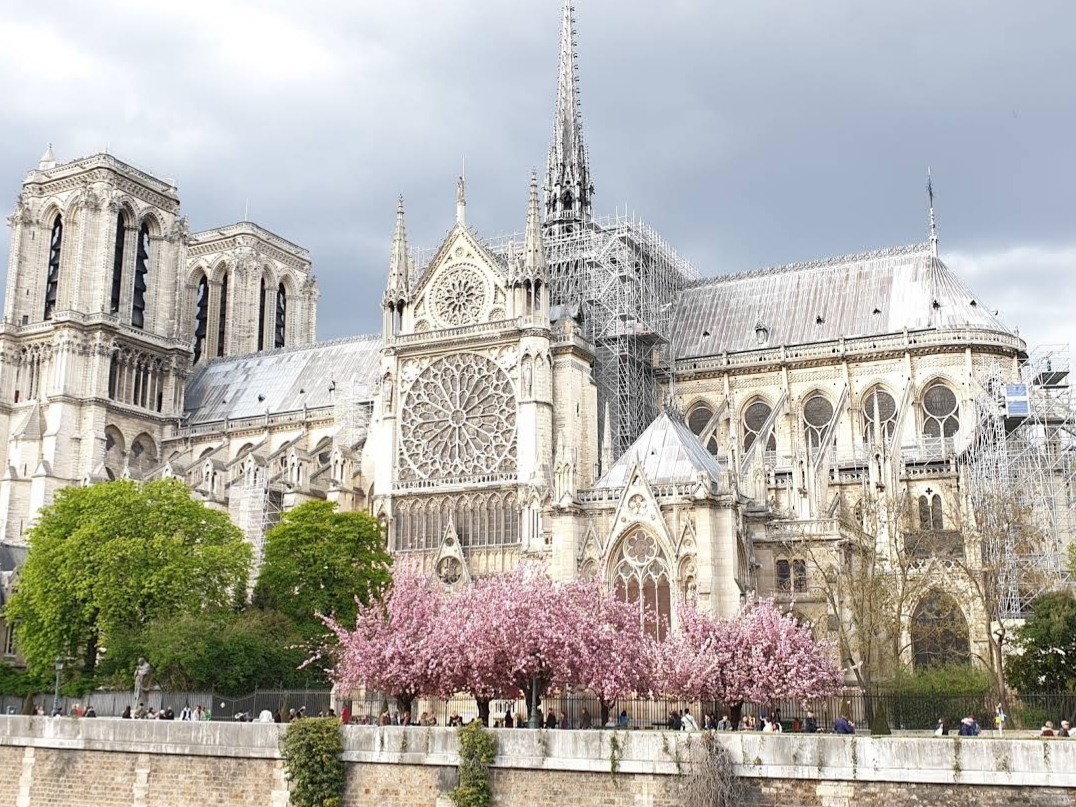 Visit the Notre Dame Cathedral